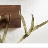 Nuvea | Zen Garderobe